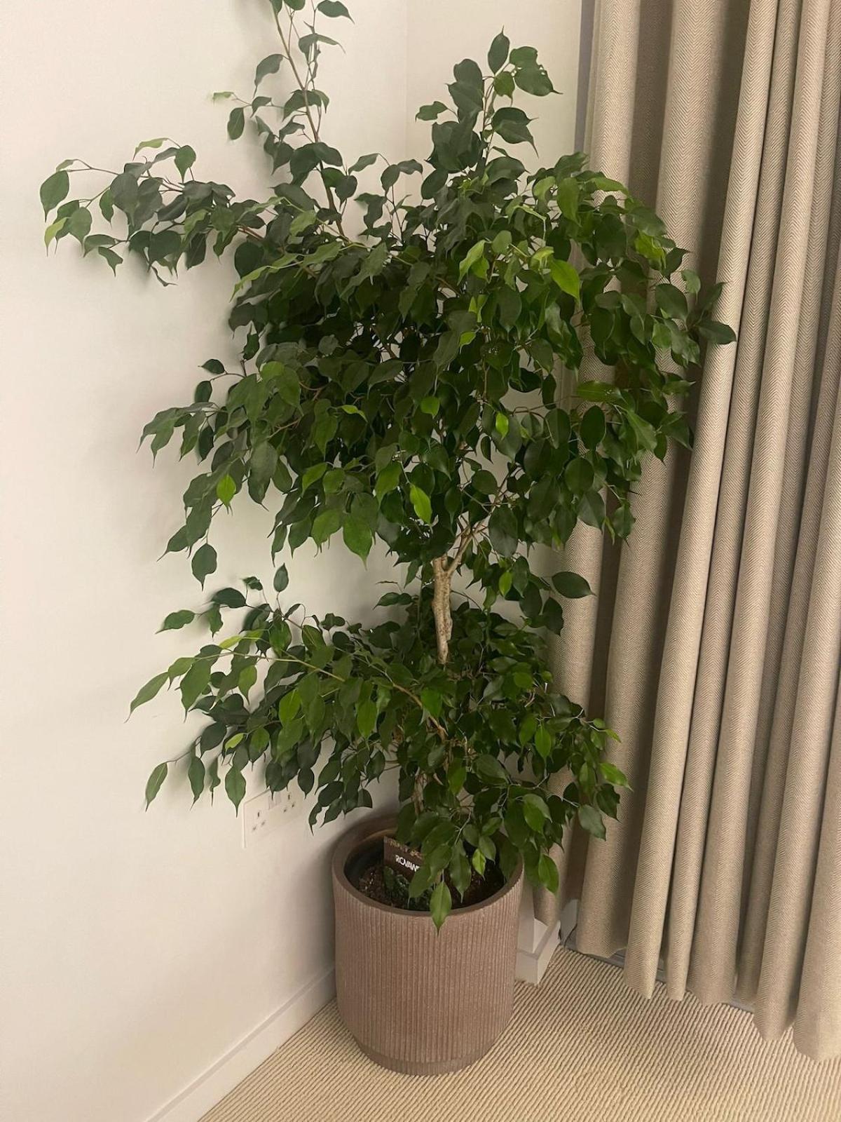 Luxury 1 Bedroom Apartment In 伦敦 外观 照片