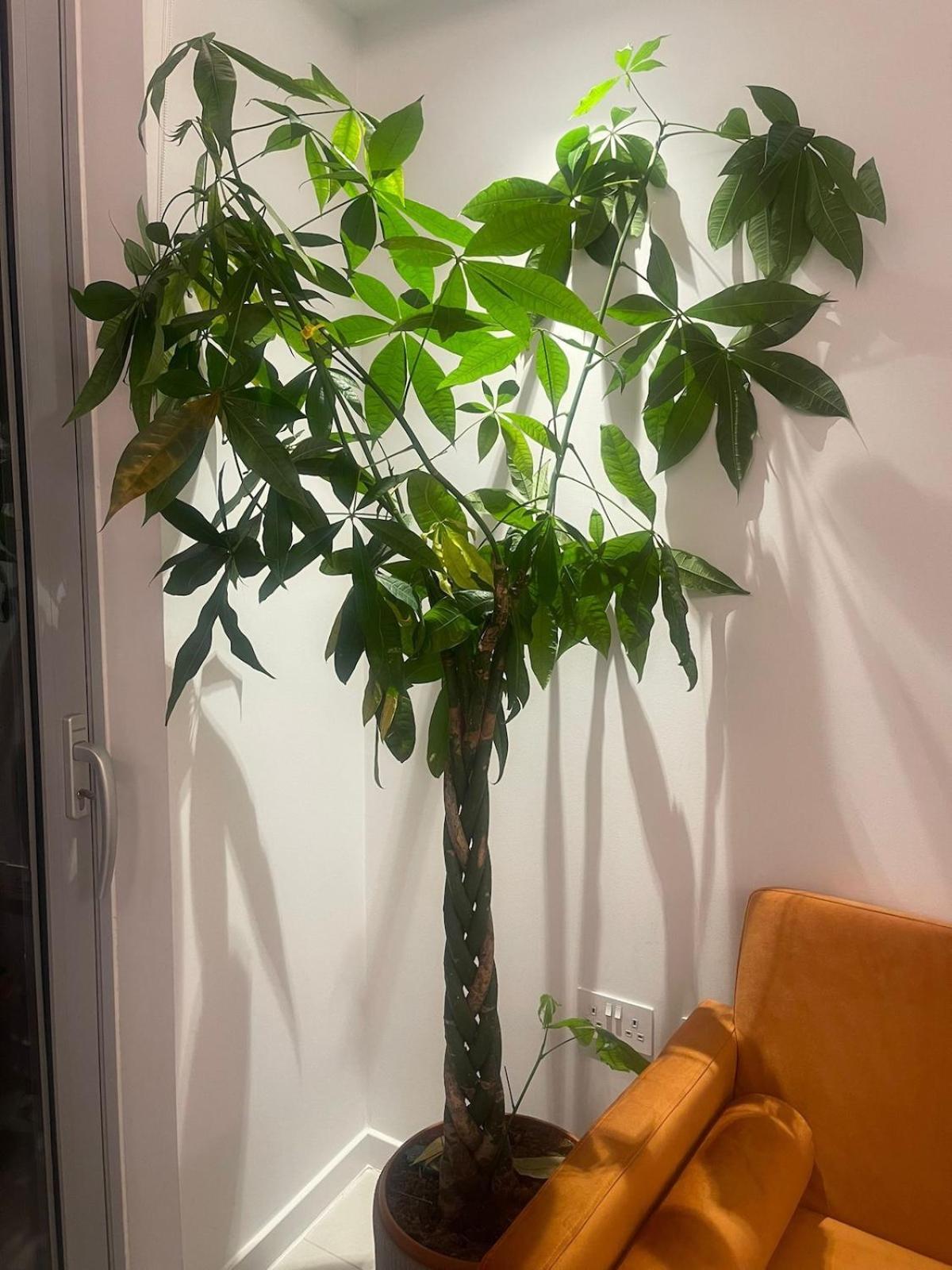 Luxury 1 Bedroom Apartment In 伦敦 外观 照片